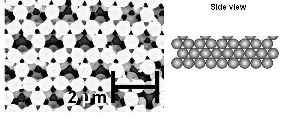 AFM
